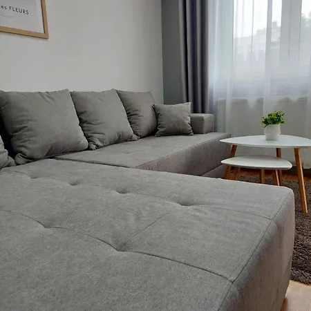 Smiley - Centar Apartment *