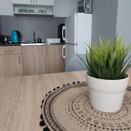 Smiley - Centar Apartment *