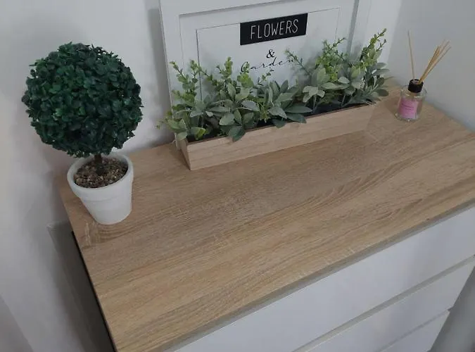 Smiley - Centar * スボティツァ